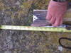 Cl 31 december 2010 002 thumb