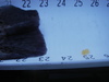  1 amador 23 1 20 11 thumb
