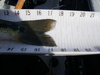 Spotted bass2 thumb