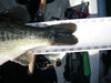 2011 lmb 20 incher2 thumb