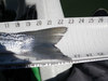 2011 striper2 thumb