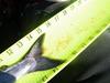 Ldp 2 27 11 022 thumb
