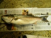 Striper2 thumb