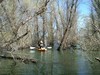 04 10 11 clear lake  fishing in the trees  thumb