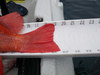 19.5 inch vermillion tail thumb