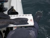 29.75 inch lingcod tail thumb