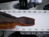 16 inch greenling2 thumb