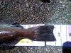 0620111423c thumb