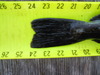 0618111753a 1  thumb