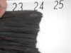 24.25 ling 2 thumb