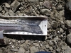 Bam iii striper 2 thumb