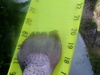 P4241161 thumb