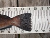 Dsc02997.jpg greenling thumb