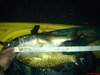 Berryessa yak fishing  12 15 07 013 thumb
