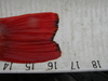 Imgp0206 thumb