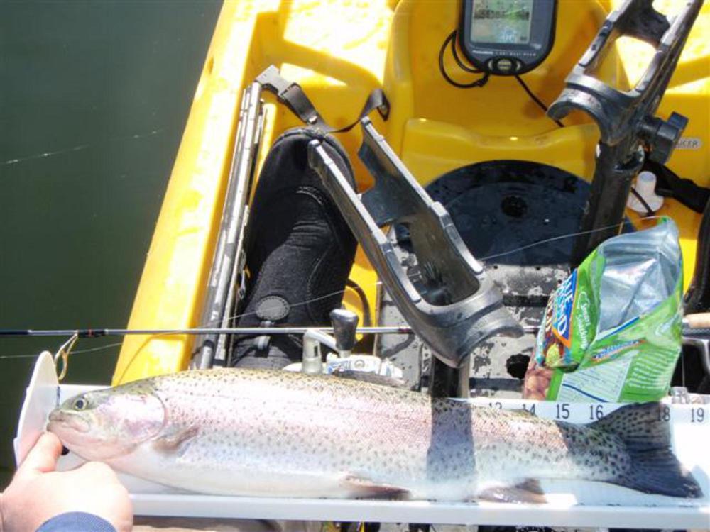Crappie trout 008  small 