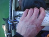 Dscf4385 thumb