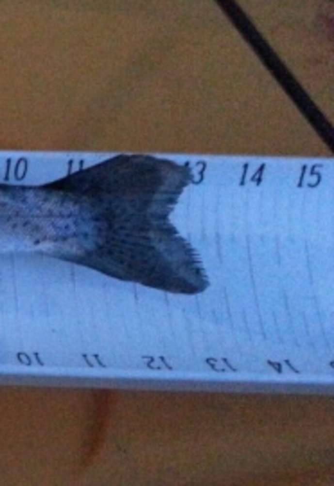 20130321 193646 1