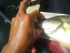 20130324 131451 thumb