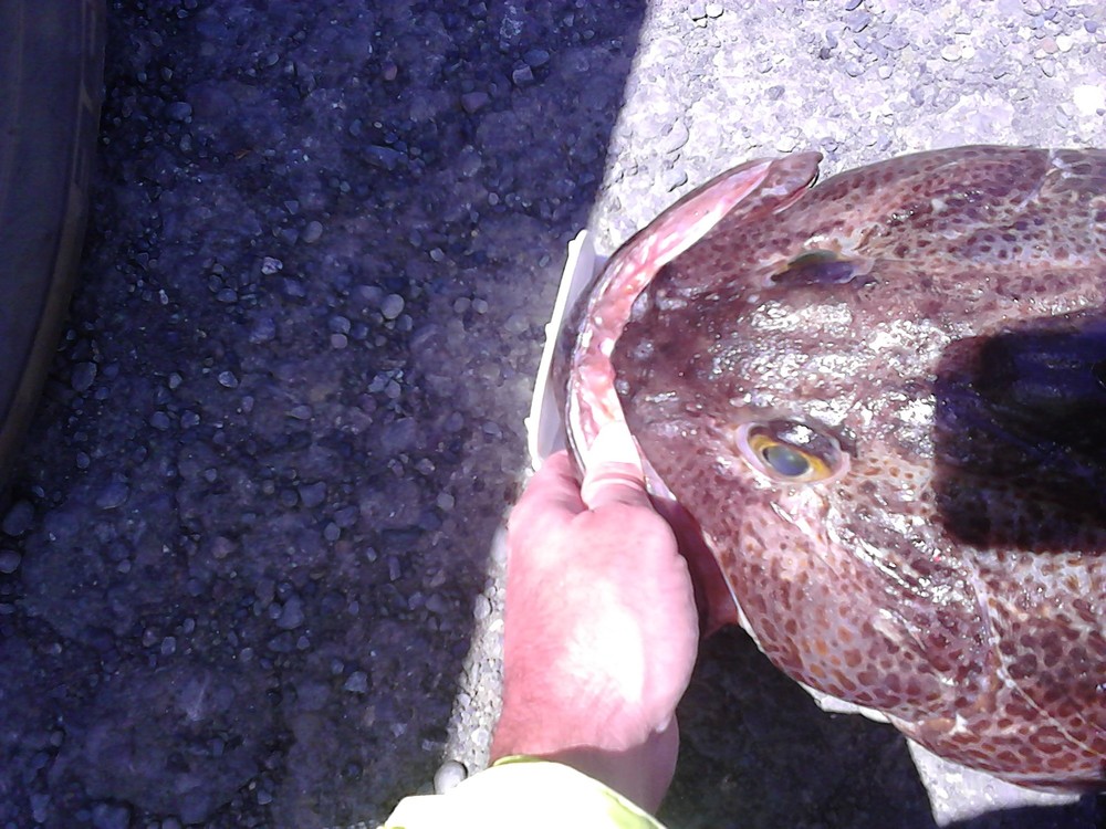 Img 20130518 134852