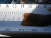 Imgp1661 thumb