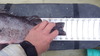 Imgp0004 4 thumb