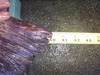 031 thumb
