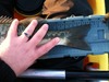 Photo 2 thumb