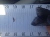 1.15 17in bow tail thumb