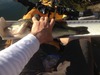 Clear lake 3.15.2014 101 thumb