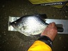 Slab2 thumb