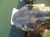 Resize 0408140744 01 01 thumb