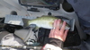 2141 thumb
