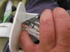 Pacific halibut 7 11 14 035 thumb