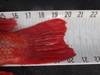 Dsc01346  2000x1500  thumb