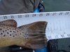 Dsc01742  2000x1500  thumb