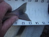 Donnerkoke2 thumb