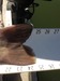 Portcat24.5 thumb
