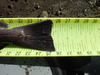 Dscf2224 thumb
