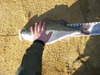 7.95 lb spot 26feb2015 005 thumb