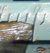 Brown tail detail thumb