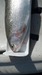 Trout head thumb