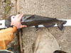 Cat 32 thumb