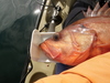 Rockfish mouth 21.75 thumb