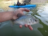 Dsc04119  2000x1500  thumb