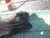 Tdad 5 25 15 008 thumb
