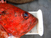 Some bycatch makes the dinner table thumb