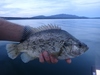 Dsc04564  2000x1500  thumb