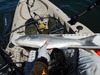 Striper  24.75  6 18 15 thumb