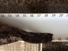 Image2 thumb